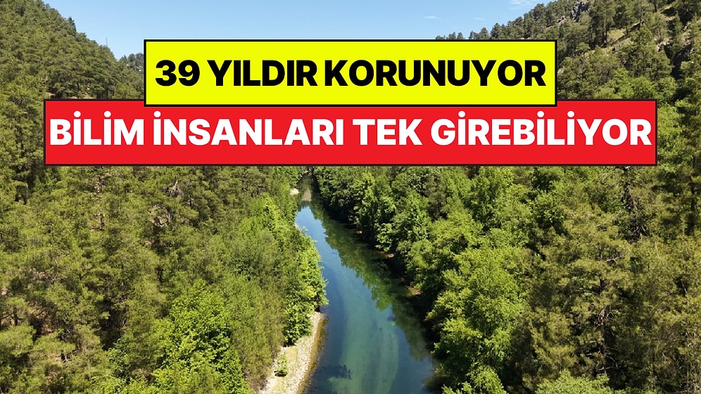 Türkiye'nin 39 Yıldır Korunan Doğa Hazinesi: Bilim İnsanları Hariç Kimse Giremiyor