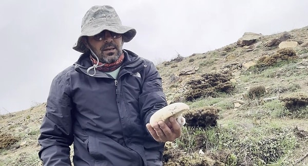Bahar mevsiminin gelmesi ve hava sıcaklıklarının artmasıyla birlikte Erzincan'da dağlar, mantar avcılarının akınına uğradı.