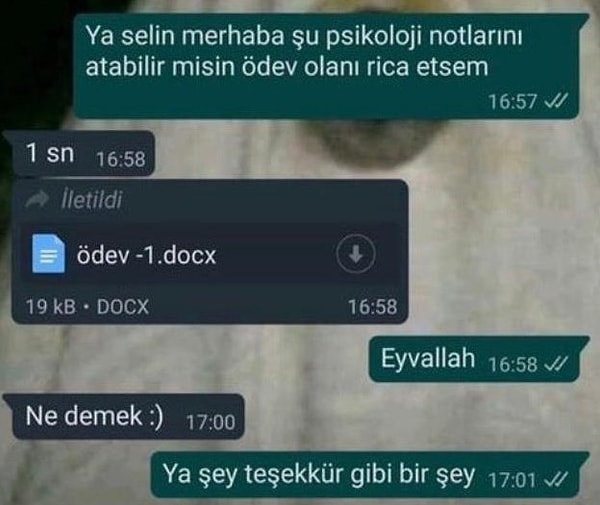 Bu da son olsun.