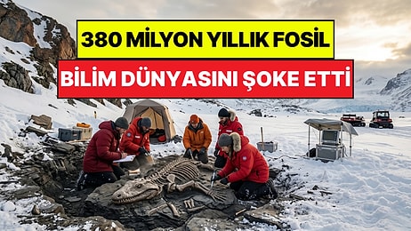 Bilim Dünyası Bu Keşfi Konuşuyor: Antarktika'da Bulunan 380 Milyon Yıllık Fosil Ezber Bozdu