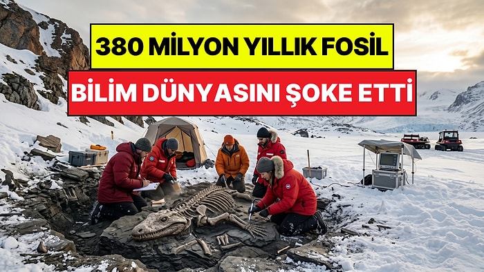 Bilim Dünyası Bu Keşfi Konuşuyor: Antarktika'da Bulunan 380 Milyon Yıllık Fosil Ezber Bozdu