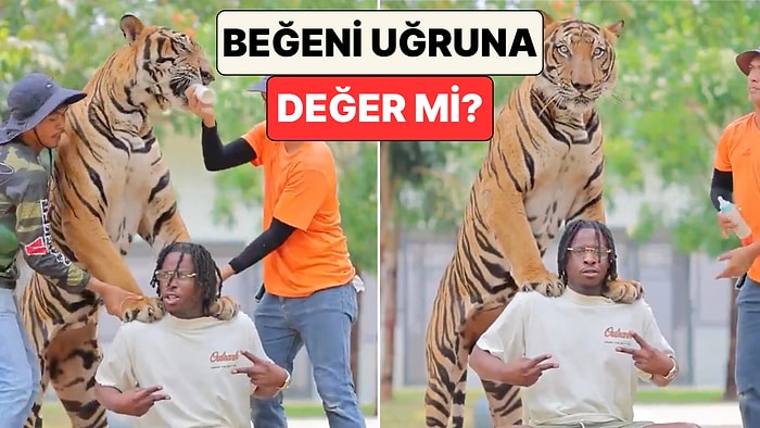 Tayland'da Kaplanla Poz Veren Turist Fotoğraf Çekilirken Yaşanan Gerilim Dolu Anları Paylaştı