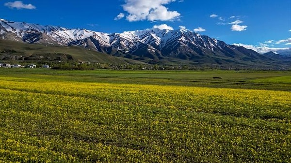 Ekolojik çeşitlilik görülmeye değer.