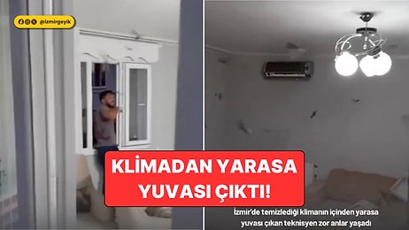 İzmir'de Temizlediği Klimanın İçinden Onlarca Yarasa Fırlayan Klima Teknisyeni Zor Anlar Yaşadı