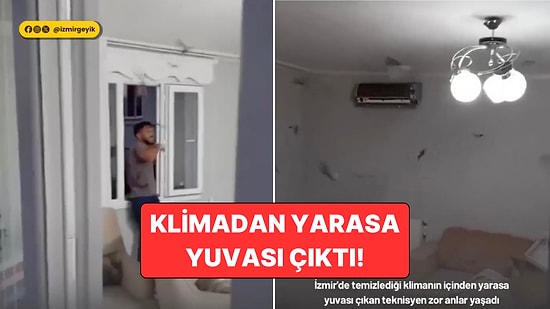 İzmir'de Temizlediği Klimanın İçinden Onlarca Yarasa Fırlayan Klima Teknisyeni Zor Anlar Yaşadı