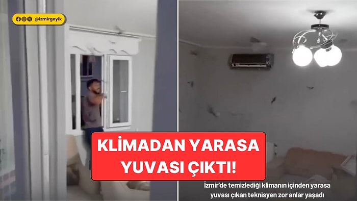 İzmir'de Temizlediği Klimanın İçinden Onlarca Yarasa Fırlayan Klima Teknisyeni Zor Anlar Yaşadı