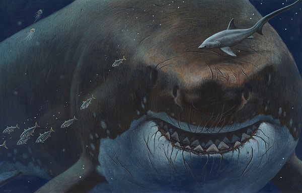 Megalodon