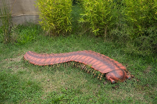Arthropleura