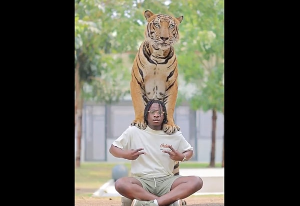 The recent trend among tourists visiting Thailand, which involves taking photos with giant tigers and has become a social media sensation, is also sparking debates.