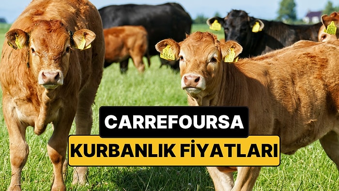 2026 CarrefourSA Kurbanlık Fiyatları Ne Kadar? İşte CarrefourSA Büyükbaş, Küçükbaş Kurbanlık Fiyatları Listesi