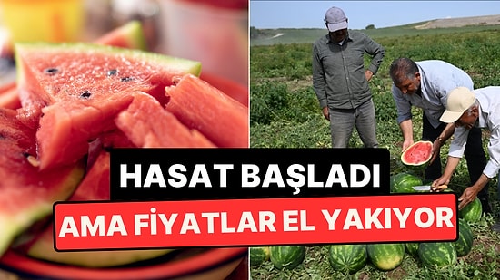 Karpuz Bu Sene "Peynir Ekmek Gibi" Satılamayacak: Fiyatı El Yakıyor!
