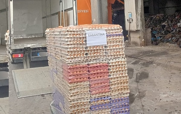 Normal yumurtaların üstüne "organik" etiketi basmışlar.