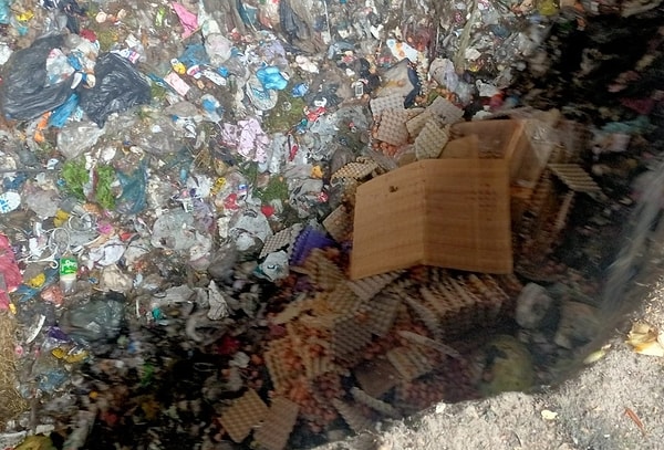 42 bin yumurta imha edildi.