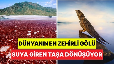 Bu Suya Giren Taşa Dönüşüyor: Dünyanın En Zehirli Gölü Görenleri Korkutuyor