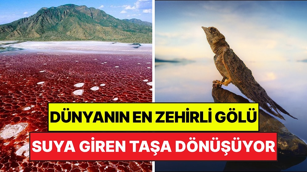 Bu Suya Giren Taşa Dönüşüyor: Dünyanın En Zehirli Gölü Görenleri Korkutuyor