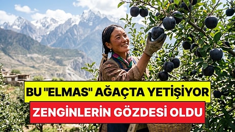 Dünyanın En Pahalı 'Elma'sı: Zenginlerin Gözdesi "Siyah Elmas" Binlerce Liraya Satılıyor