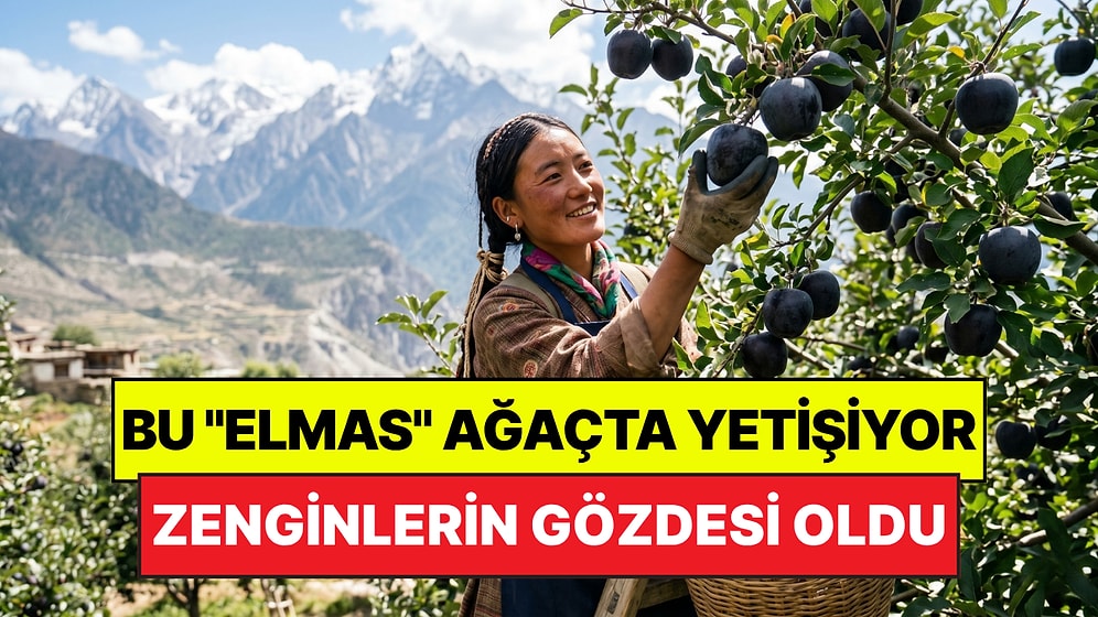 Dünyanın En Pahalı 'Elma'sı: Zenginlerin Gözdesi "Siyah Elmas" Binlerce Liraya Satılıyor