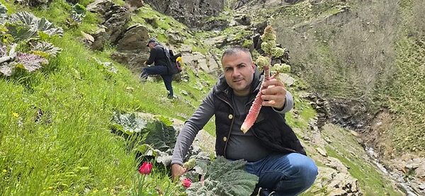 Yüksek Besin Değeriyle Dikkat Çeken Bitki Birçok Fayda Barındırıyor