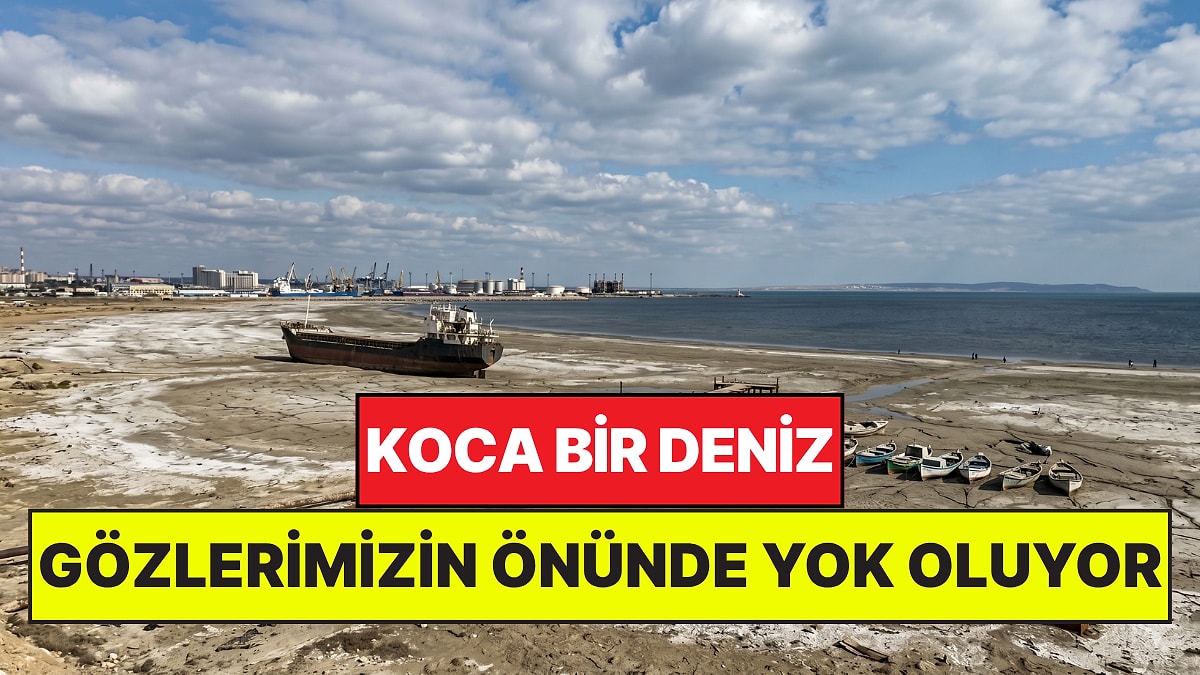 5 Ülkeyi Besleyen Koca Deniz Gözlerimizin Önünde Yok Oluyor