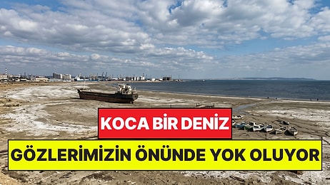 5 Ülkeyi Besleyen Koca Deniz Gözlerimizin Önünde Yok Oluyor