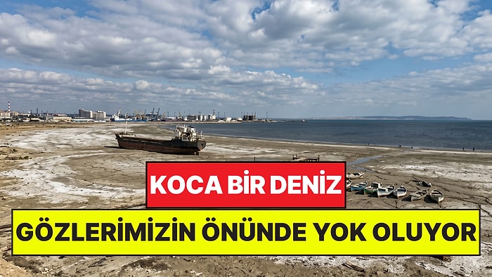 5 Ülkeyi Besleyen Koca Deniz Gözlerimizin Önünde Yok Oluyor