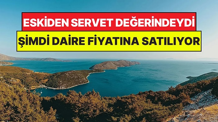 Zamanında Servet Değerindeydi: Koruma Altındaki Adayı Daire Fiyatına Satışa Çıkardılar