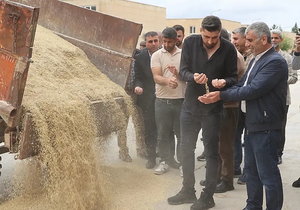 Sezonun ilk ürünü ambarlara dualar eşliğinde boşaltıldı