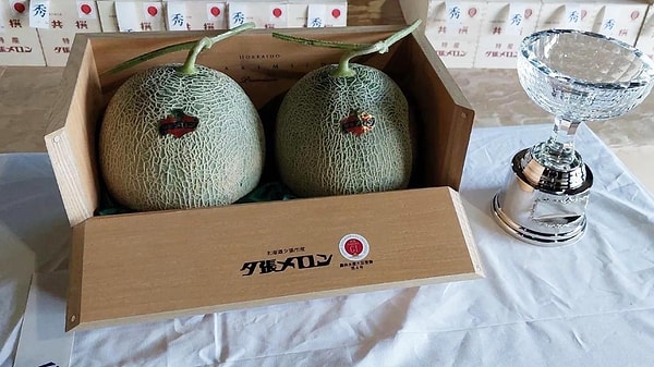 Japonya’nın kuzeyindeki Hokkaido adasında yetiştirilen ünlü Yubari kavunları, bu yılın ilk açık artırmasında rekor fiyata satıldı.