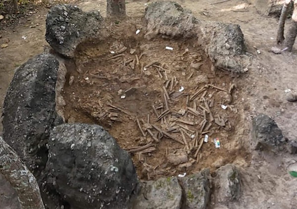 Archaeologists are now rolling up their sleeves for the next phase of the project, which involves Ancient DNA analyses.
