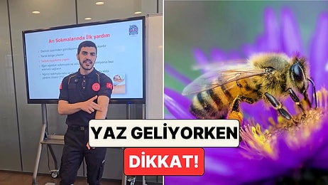 Arı Soktuğunda Ne Yapılmalı? Bir İlk Yardım Uzmanı Hayat Kurtaran Teknikleri Anlattı