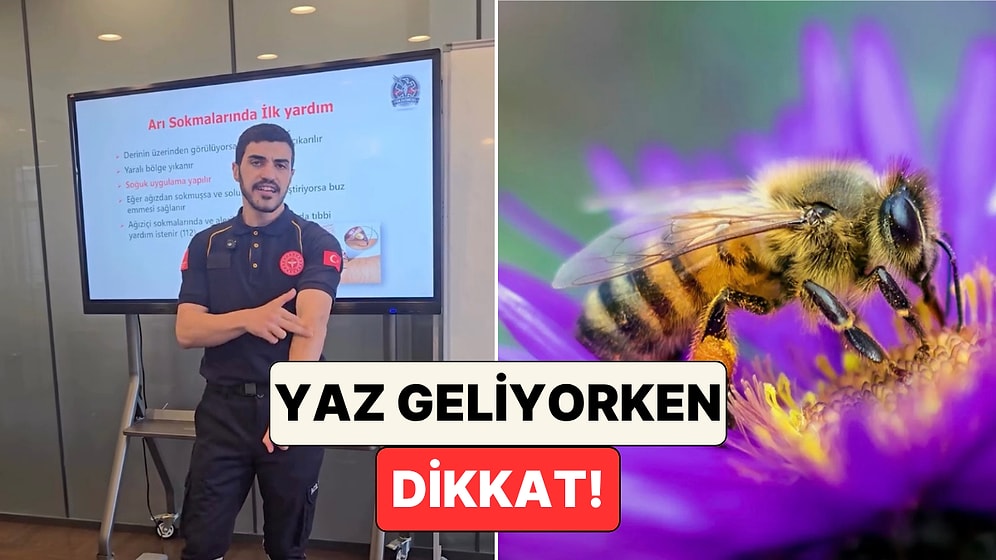 Arı Soktuğunda Ne Yapılmalı? Bir İlk Yardım Uzmanı Hayat Kurtaran Teknikleri Anlattı