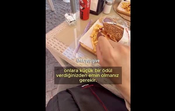 Kedi sevgimiz dünyaya yayıldı!