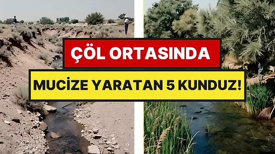 Bir Zamanlar Kupkuruydu: Ne Devlet Ne Şirket, Her Şeyi Kunduzlar Yaptı