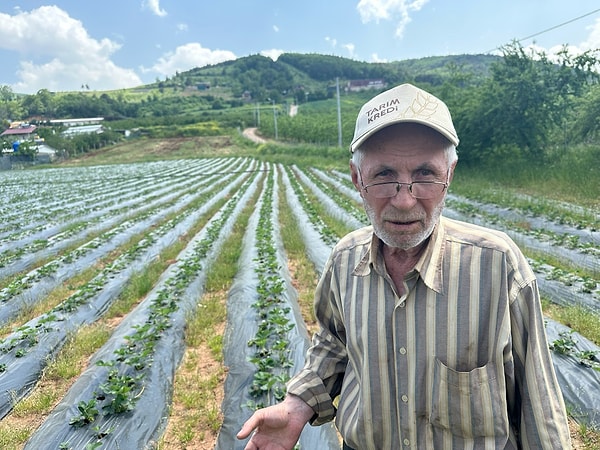 İlk yıl için 4 dönümlük araziden toplam 6 ton rekolte beklediklerini kaydeden İsmail Kozan, harcanan emeğin ve paranın karşılığını alabilmek için tarladan çıkış fiyatının yüksek olması gerektiğini vurguladı.