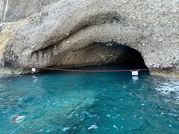 Fokların insan varlığından, tekne gürültülerinden ve meraklı turistlerden dolayı yuvalarını terk etme riskine karşı ekipler derhal düğmeye bastı.
