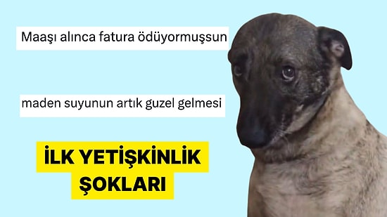 Yetişkinliğe Dair İlk Şoklarını Anlatarak Hayal Kırıklıklarını Paylaşan Kişiler