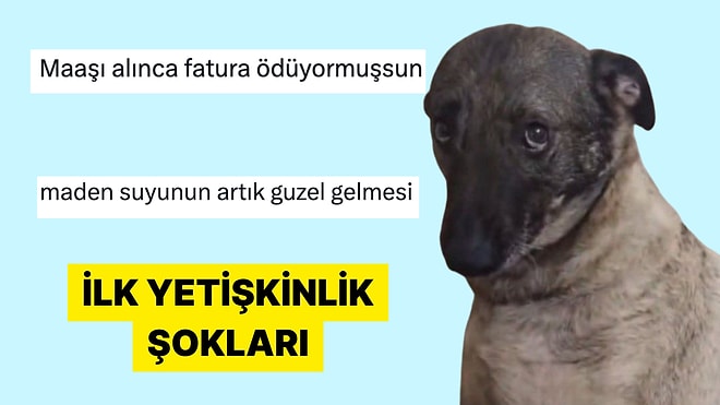 Yetişkinliğe Dair İlk Şoklarını Anlatarak Hayal Kırıklıklarını Paylaşan Kişiler