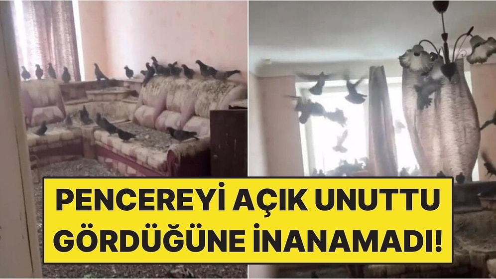 Pencereyi 3 Yıl Açık Bıraktı Eve Döndüğünde Gördüğüne İnanamadı