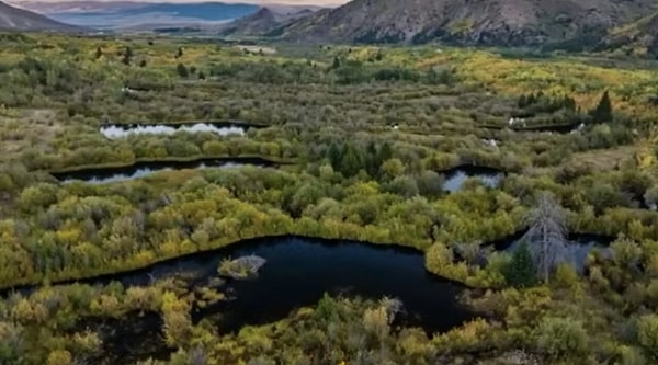 Once seen as a nuisance for clogging up channels and blown up with dynamites, beavers are now being recognized as humanity's greatest ally against the water crisis.