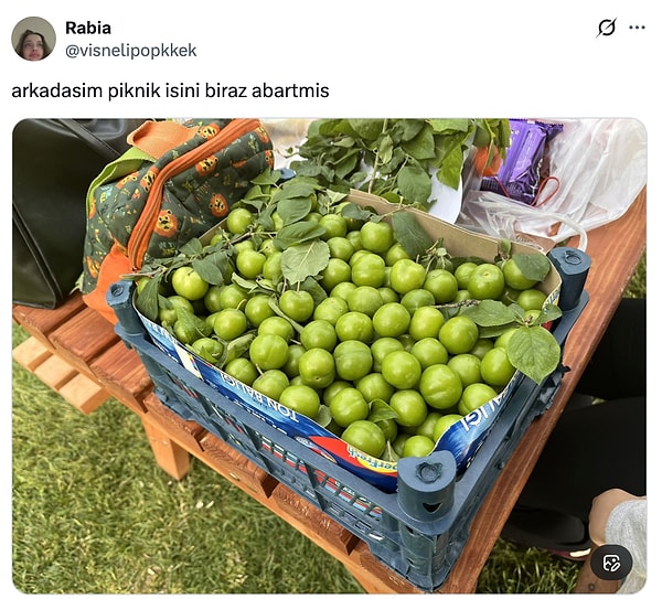 Başlayalım!