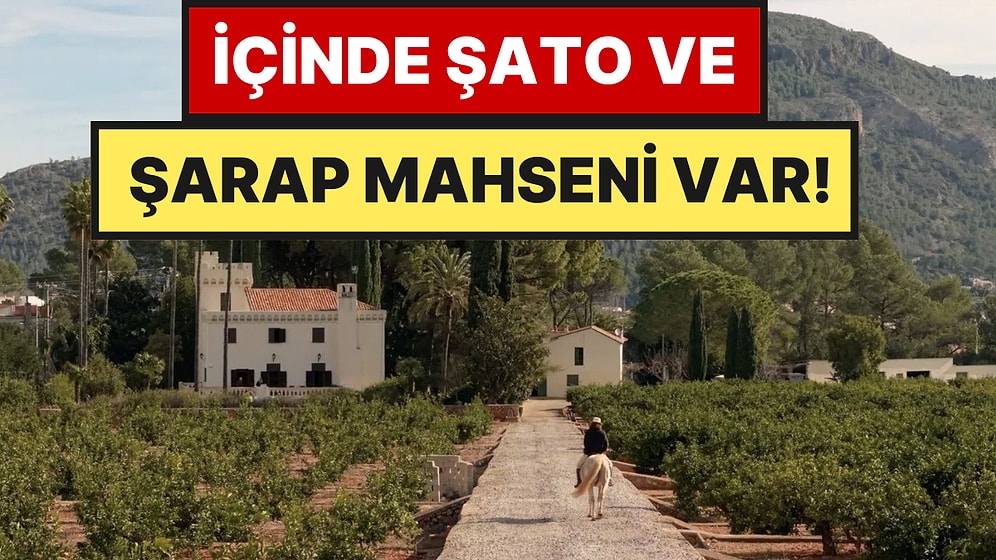 Bu Portakal Çiftliği 104 Milyon TL'ye Satışa Çıktı: Tek Bir Şartları Var