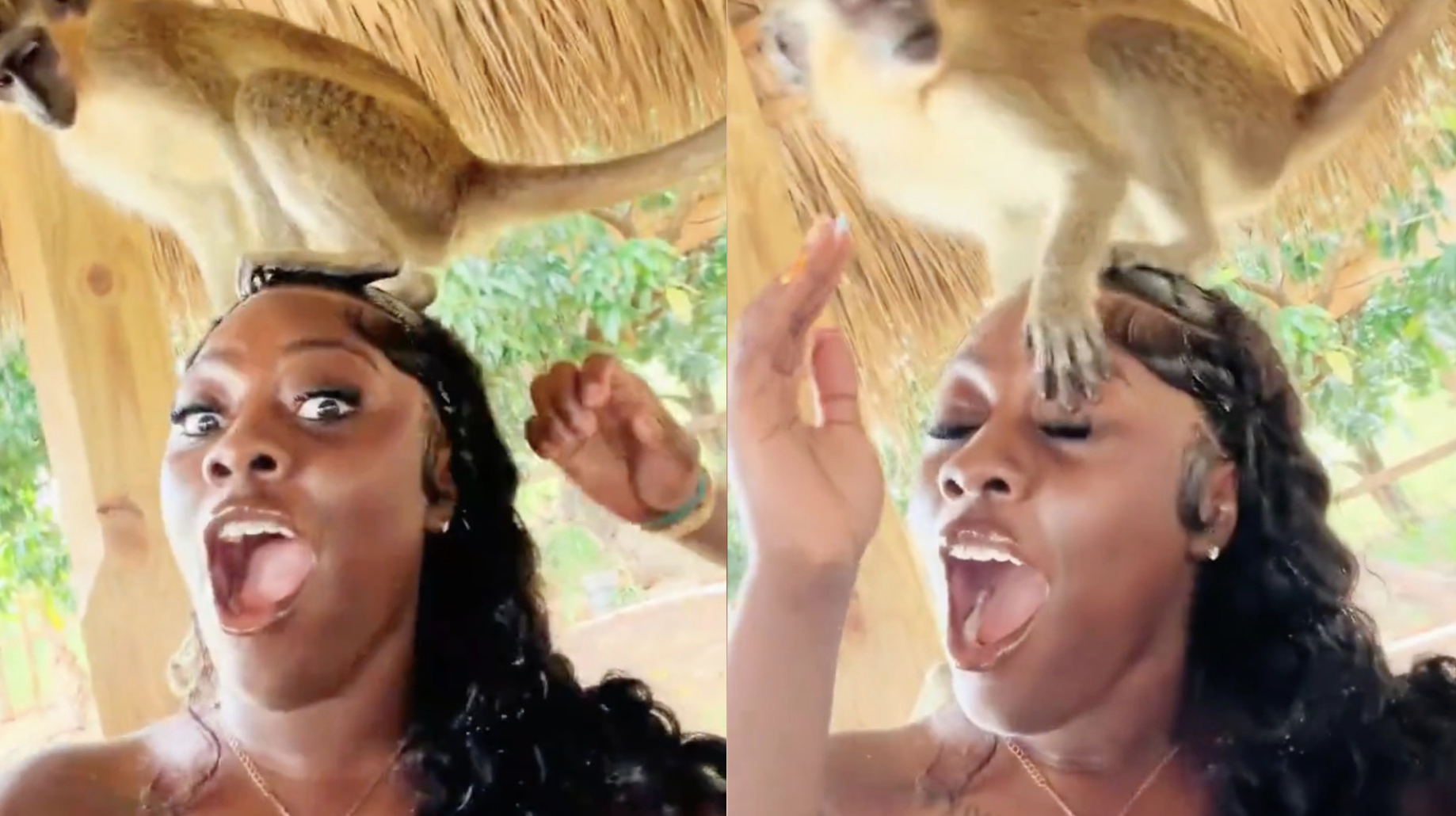 Monkey Wonen Photo Turns Into Nightmare for Woman With Monkey - Onedio