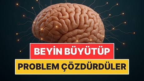 Laboratuvarda Mini Beyin Büyüttüler Sonra Problem Çözdürdüler
