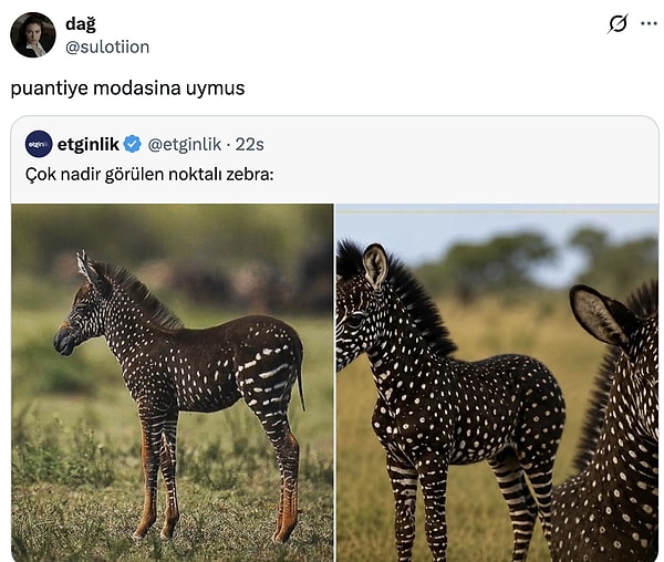 Nadirliği kalmamış...