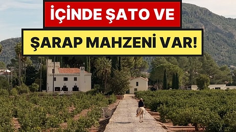 Bu Portakal Çiftliği 104 Milyon TL'ye Satışa Çıktı: Tek Bir Şartları Var