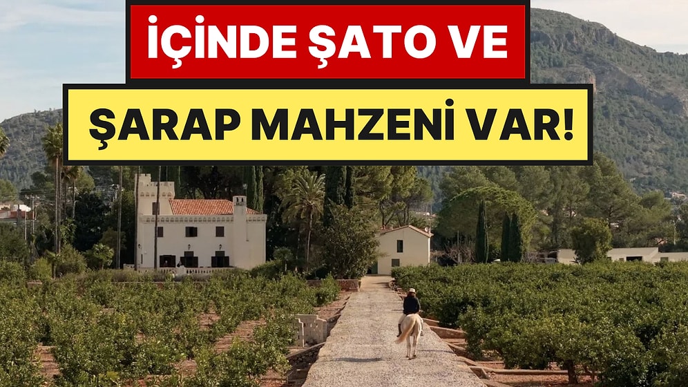 Bu Portakal Çiftliği 104 Milyon TL'ye Satışa Çıktı: Tek Bir Şartları Var