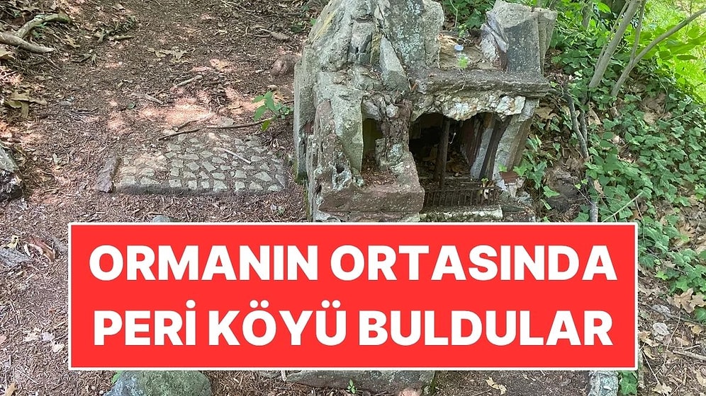 Ormanın İçinde Unutulmuş Minyatür Peri Köyü Buldular: Tahtı Bile Var
