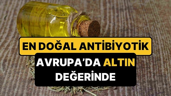 Türkiye'de Değeri Bilinmeyen Mucizevi Yağ, Avrupa'da Kapış Kapış Gidiyor