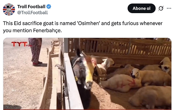 Tabii bu haber dünya çapında ünlü futbol parodi hesaplarının da önüne düştü.