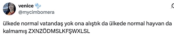 👇